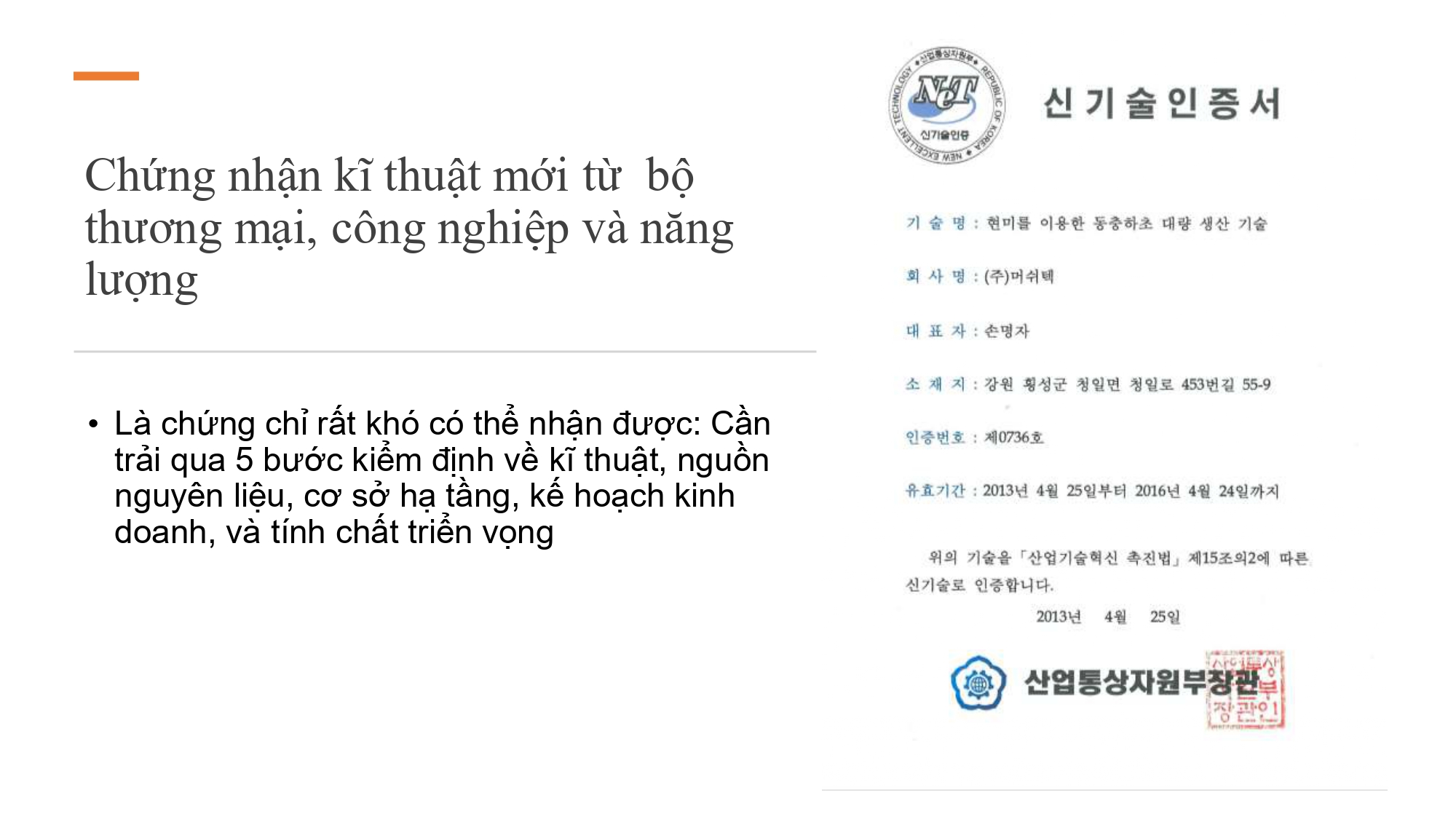 nấm đông trùng hạ thảo