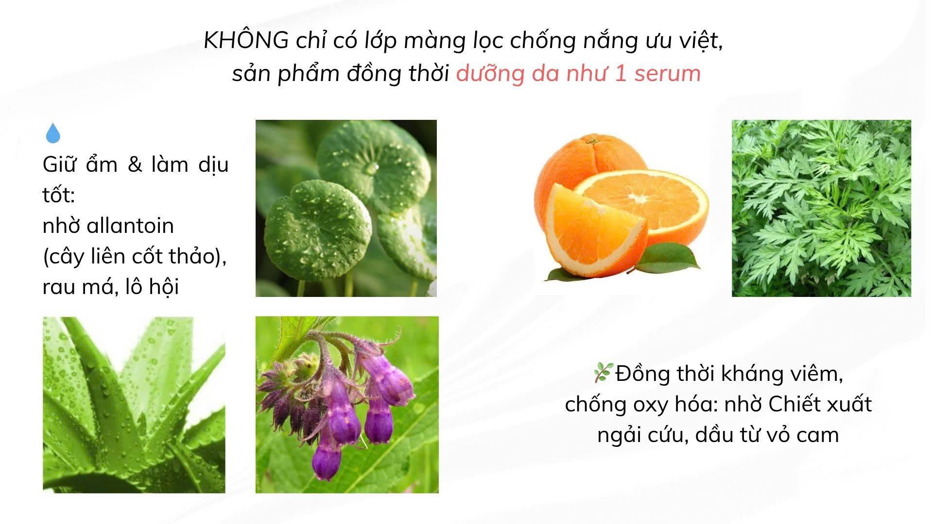 Kem chống nắng Hydro Shield Sun Serum